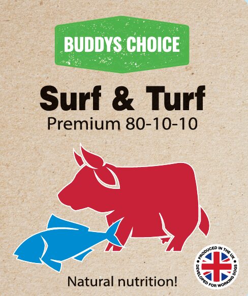 BUDDYS CHOICE SURF & TURF