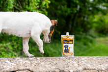 Load image into Gallery viewer, Turmeric Golden Paste for Pets
