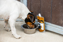 Load image into Gallery viewer, Turmeric Golden Paste for Pets
