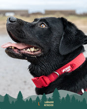 Load image into Gallery viewer, Tidal Waterproof Collar
