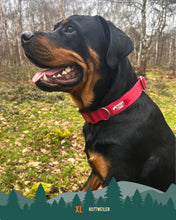 Load image into Gallery viewer, Tidal Waterproof Collar
