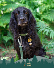 Load image into Gallery viewer, Tidal Waterproof Collar
