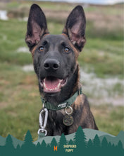 Load image into Gallery viewer, Tidal Waterproof Collar
