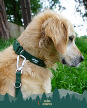 Load image into Gallery viewer, Tidal Waterproof Collar
