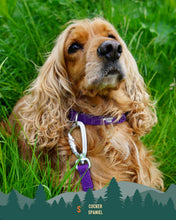 Load image into Gallery viewer, Tidal Waterproof Collar
