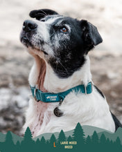 Load image into Gallery viewer, Tidal Waterproof Collar
