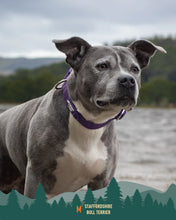 Load image into Gallery viewer, Tidal Waterproof Collar
