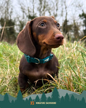 Load image into Gallery viewer, Tidal Waterproof Collar
