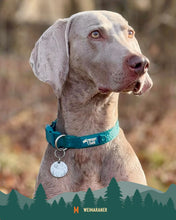 Load image into Gallery viewer, Tidal Waterproof Collar
