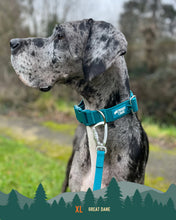 Load image into Gallery viewer, Tidal Waterproof Collar
