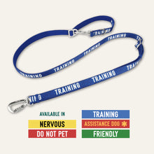 Load image into Gallery viewer, Awareness Multi-Way Lead
