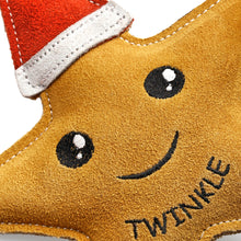 Load image into Gallery viewer, Twinkle the Star, Eco Dog Toy
