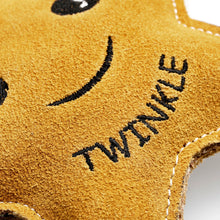 Load image into Gallery viewer, Twinkle the Star, Eco Dog Toy
