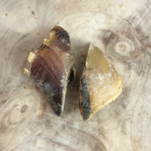 Load image into Gallery viewer, Cow Hooves (unfilled) 1 piece
