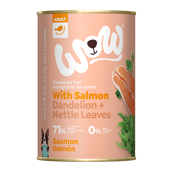 WOW Adult Dog with Salmon, Dandelion and Nettle Leaves 400g