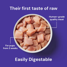 Load image into Gallery viewer, Weaning Paste Raw Chicken 500g
