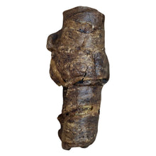 Load image into Gallery viewer, Wrapped Buffalo Trachea 1pc
