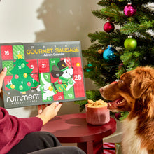 Load image into Gallery viewer, Gourmet Advent Calendar for Dogs
