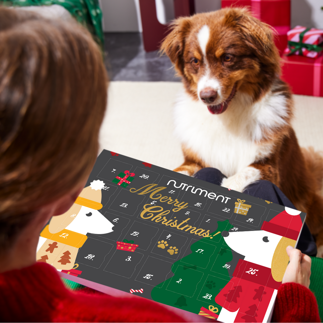 Nutriment Gourmet Advent Calendar for Dogs