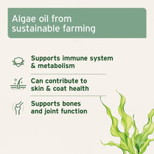 Load image into Gallery viewer, Aniforte Algae Oil 50ml
