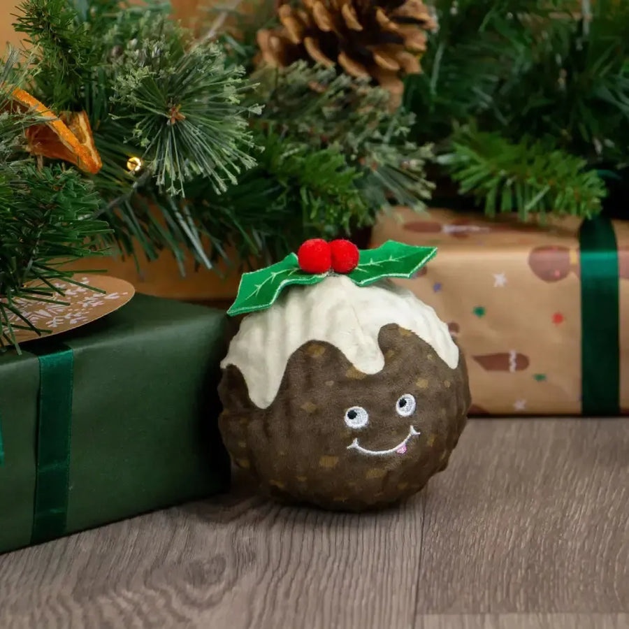 Ancol - Bouncing Colin Jr