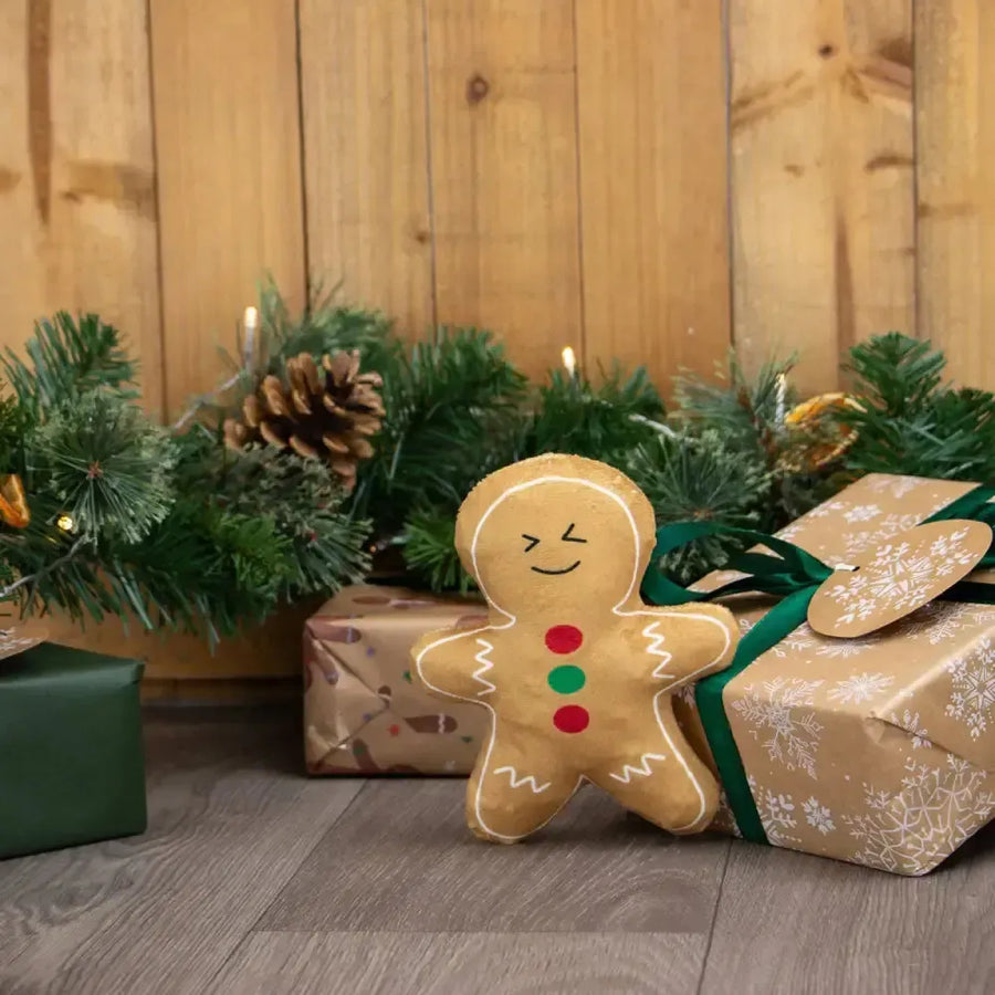 Ancol - Georgia Gingerbread