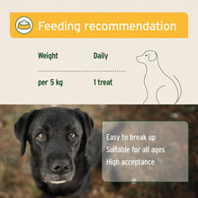 Load image into Gallery viewer, AniForte® Anti Grass and Poop Snack 300g
