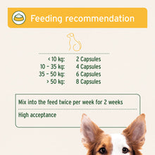 Load image into Gallery viewer, AniForte® WermiX Capsules for Dogs - 50 Capsules

