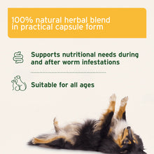 Load image into Gallery viewer, AniForte® WermiX Capsules for Dogs - 50 Capsules
