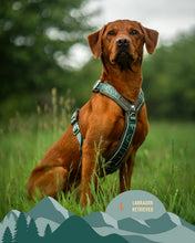 Load image into Gallery viewer, Apex® Harness
