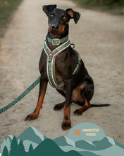 Load image into Gallery viewer, Apex® Harness
