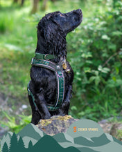 Load image into Gallery viewer, Apex® Harness
