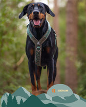 Load image into Gallery viewer, Apex® Harness
