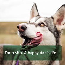 Load image into Gallery viewer, Canine Complete (Formerly BARF Complete) - For Balanced Nutrition
