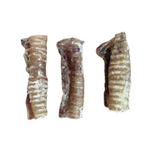 Load image into Gallery viewer, Beef Trachea 12cm
