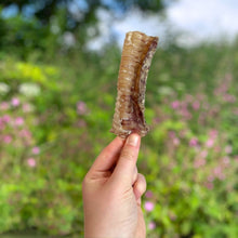 Load image into Gallery viewer, Beef Trachea 12cm
