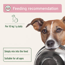 Load image into Gallery viewer, AniForte® Bladder Formula Powder 100g
