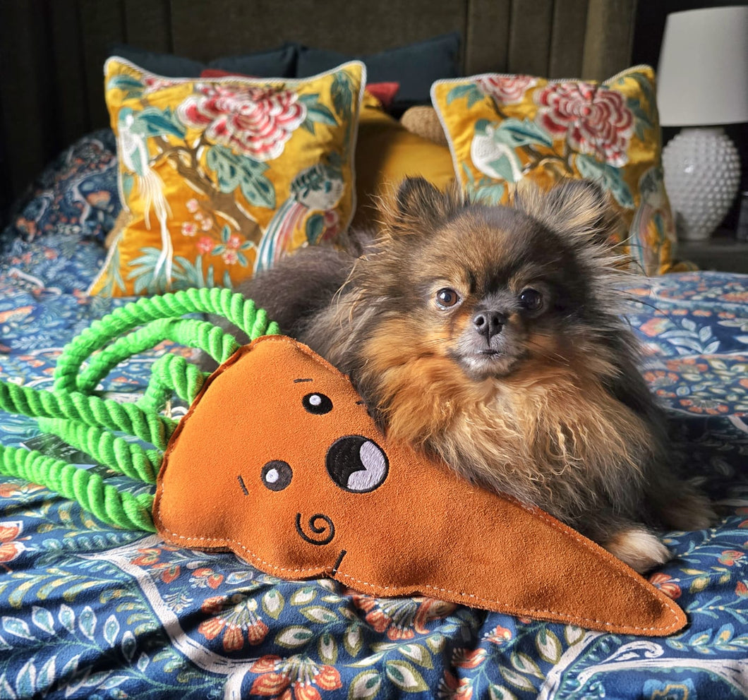 Carrot XL Dog and Horse Eco Toy