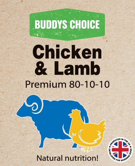 BUDDYS CHOICE CHICKEN & LAMB