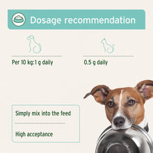 Load image into Gallery viewer, AniForte® Dental Powder for Dogs and Cats
