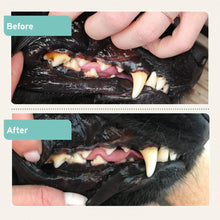 Load image into Gallery viewer, AniForte® Dental Powder for Dogs and Cats
