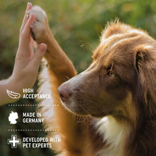 Load image into Gallery viewer, AniForte® Dental Powder for Dogs and Cats
