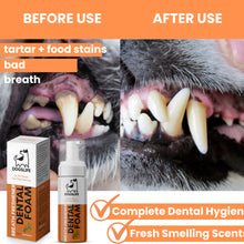 Load image into Gallery viewer, Dogslife Dental Foam
