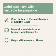 Load image into Gallery viewer, Devil’s Claw Root 100 Capsules
