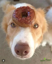 Load image into Gallery viewer, Maks'Patch Doggy Donuts
