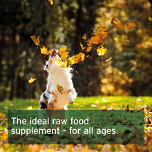 Load image into Gallery viewer, Eggshell Powder - Natural Calcium Supplement
