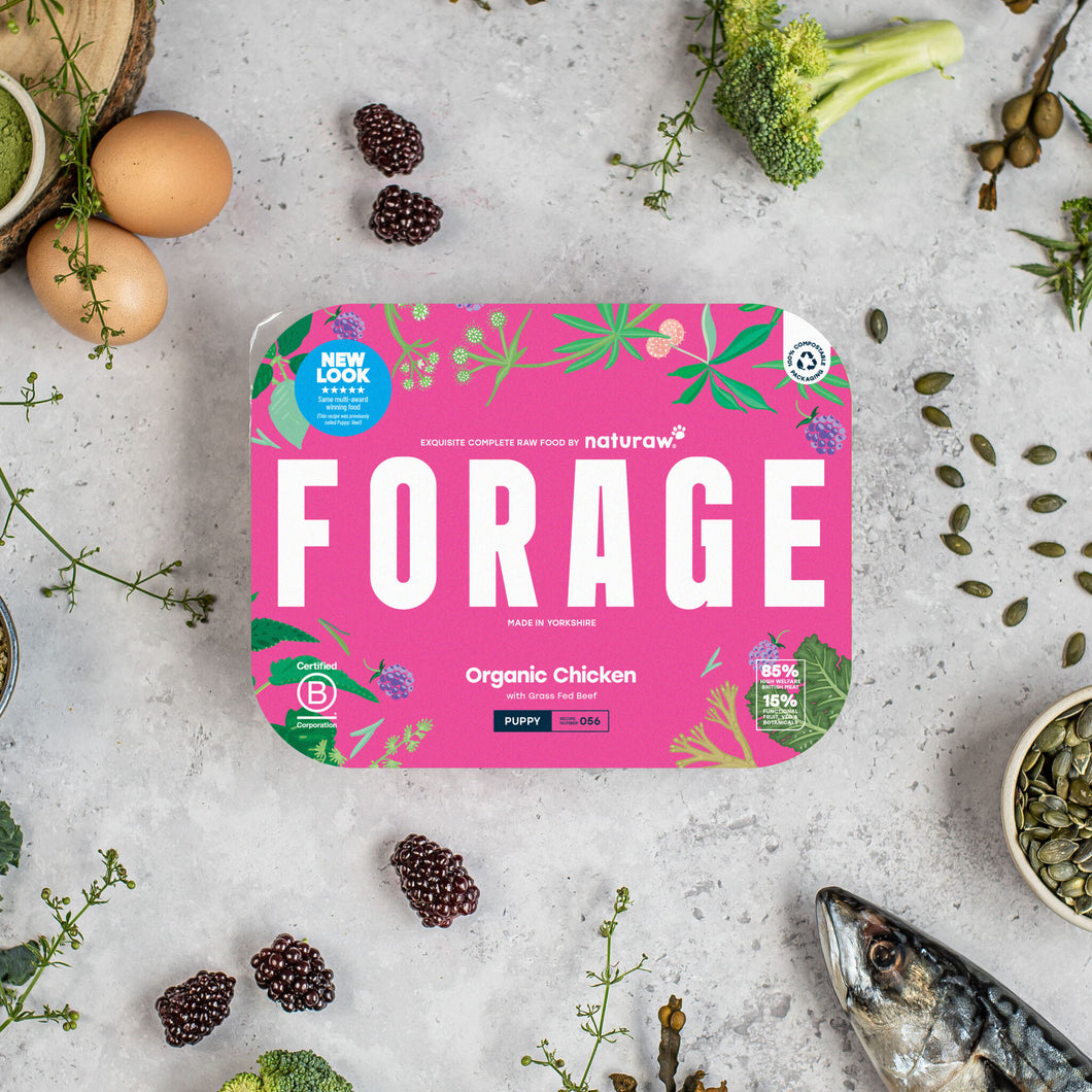 FORAGE PUPPY: ORGANIC CHICKEN (500G)