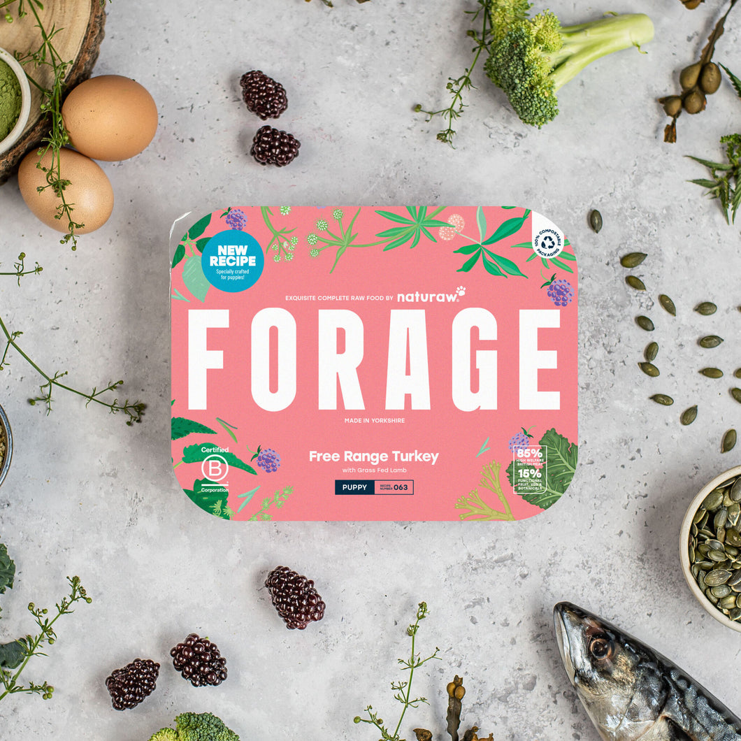 FORAGE PUPPY: FREE RANGE TURKEY (500G)