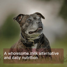 Load image into Gallery viewer, Goat Milk Powder 500g
