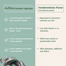 Load image into Gallery viewer, Green Lipped Mussel Capsules for Dogs - Joint Support Supplement
